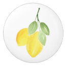 Recherche de fruits boutons et poignées de porte Vert