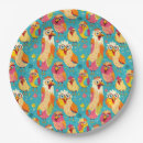 Recherche de humoristique assiettes Anniversaire