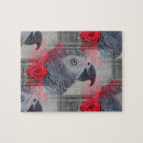 Recherche de gris africain Perroquet de gris africain
