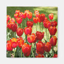Recherche de paysage de tulipe magnets Pour tous