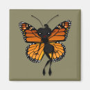 Recherche de butterflys magnets Insecte
