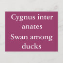 Recherche de latin cartes postales Citer