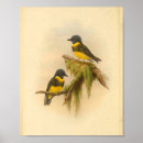 Recherche de jaune et gris posters Rouge
