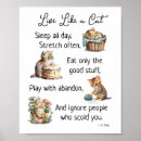 Zoek naar grappige cake posters Schattige kat