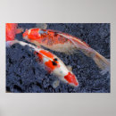 Recherche de koi posters Japan