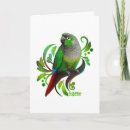 Recherche de conures vœux cartes Conure à joues vertes