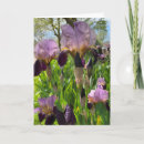 Zoek naar iris bloem kaarten Irissen