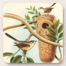 Recherche de oiseaux dessous de verres Arbre