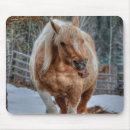 Recherche de palomino tapis souris Chevaux