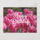 Zoek naar bloem lucht kaarten Roze