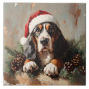 Recherche de basset hound carreaux Dog