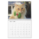Recherche de yeux bureau fournitures Chat