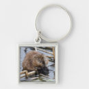 Zoek naar bever sleutelhangers Bruin