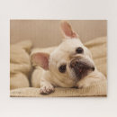 Recherche de french bulldog puzzles Pet