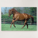 Recherche de étalon puzzles Ranch