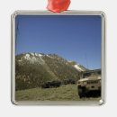 Recherche de humvee Jour