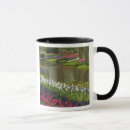 Recherche de ruisseau tasses Feuillage