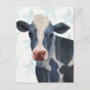 Recherche de vaches cartes postales Américain