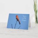 Recherche de les maladies photographie Oiseau