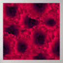 Recherche de photomanipulation posters Rouge