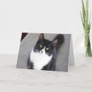 Recherche de chat smoking vœux cartes Minou