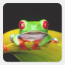 Recherche de yeux rouges autocollants Faune
