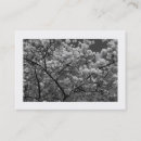Recherche de cherry cartes visite Élégant