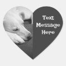 Zoek naar zwart witte honden stickers Schattige hond