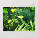 Recherche de lanceur cartes postales Plante