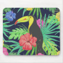 Recherche de forêt tropicale tapis souris Oiseau tropical