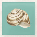 Zoek naar shells onderzetters Oceaan