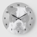Recherche de bouledogues horloges Chiens