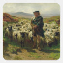 Recherche de troupeau de moutons autocollants Paysage