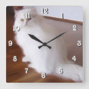 Recherche de chat persan horloges Chats
