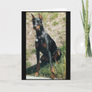 Recherche de pincher vœux cartes Chien