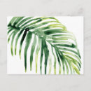 Recherche de bijoux cartes postales Tropical