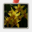 Recherche de orchidée ornements Floral