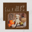 Recherche de labrador invitations Laboratoire jaune