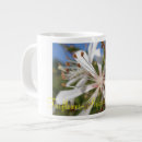 Recherche de indigène maison deco Nature