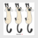 Recherche de grands yeux coques Animaux