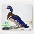 Recherche de peinture canard tapis souris Oiseau