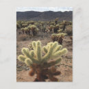 Recherche de arbre joshua cartes postales Désert