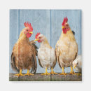 Zoek naar kippen magneten Plezier