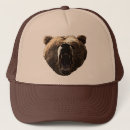 Recherche de ours gris casquettes Animal