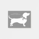 Recherche de dachshund post its Chiot