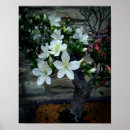 Recherche de bonsaïs fleurissants Nature