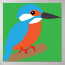 Zoek naar ijsvogels posters Wilde dieren