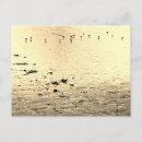 Recherche de mers cartes postales Eau