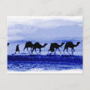 Zoek naar caravan briefkaarten Dieren
