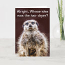 Zoek naar meerkats kaarten Zoogdier